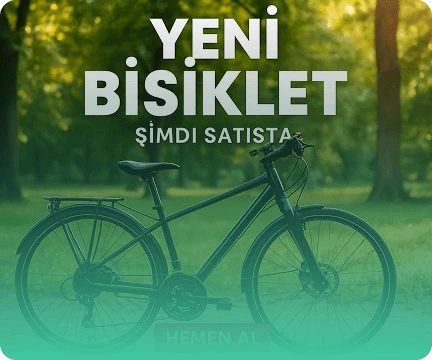 create-design-animation